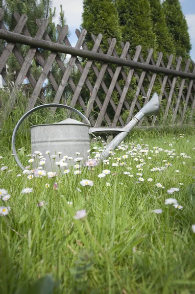 Gießkanne gegen Holzzaun — Stockfoto