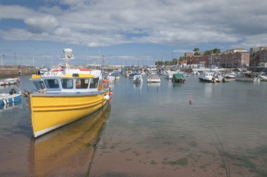 Paignton liman devon İngiltere'de