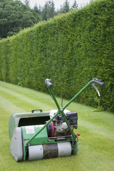 Çim biçme makinesi karşı hedge arka — Stok fotoğraf