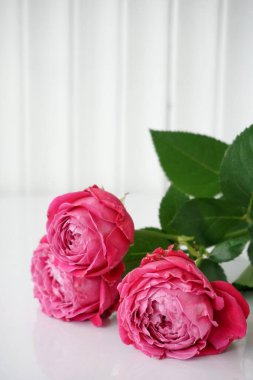 Vazodaki güller beyaz bir masada