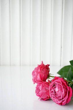 Vazodaki güller beyaz bir masada