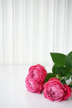 Vazodaki güller beyaz bir masada