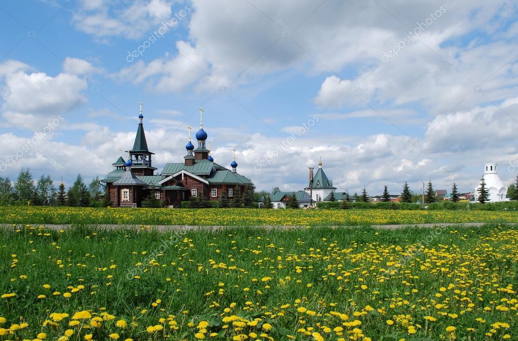 paisaje ruso con dientes de León — Foto de stock © IrinaDance #14108673