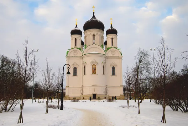 Кафедральный собор Святой Екатерины в Царском Селе (Пушкин) ) — стоковое фото