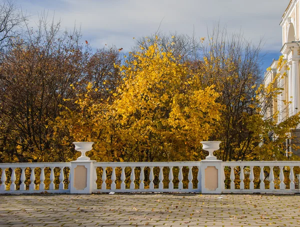Podzim v arkhangelskoye — Stock fotografie