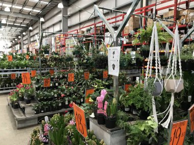 Çiçekçinin iç manzarası