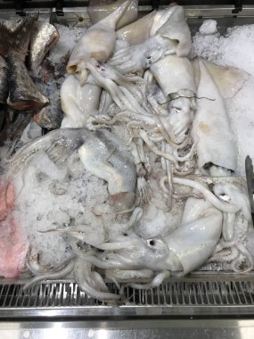 Mürekkep balığı ve deniz ürünleri denizden yeni geldi. Sağlıklı besinler, pişmemiş yemekler. 
