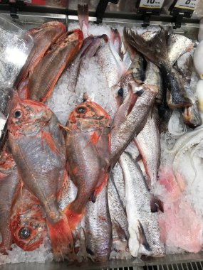 Mürekkep balığı ve deniz ürünleri denizden yeni geldi. Sağlıklı besinler, pişmemiş yemekler. 