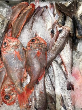 Mürekkep balığı ve deniz ürünleri denizden yeni geldi. Sağlıklı besinler, pişmemiş yemekler. 