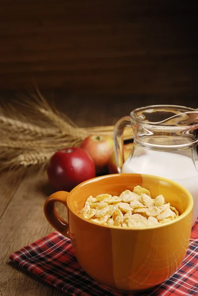 Cereals and milk — Stock Photo, Image