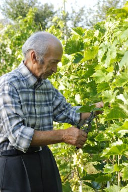 Komuta sizde kesme asma