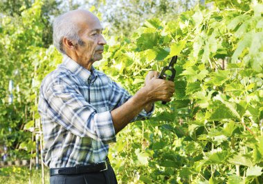 Komuta sizde kesme asma