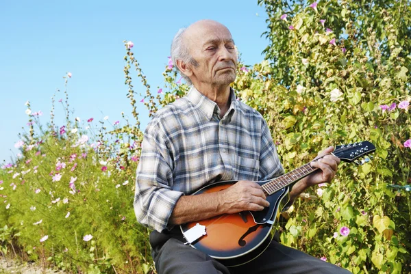 Старший мужчина играет в мандолину — стоковое фото