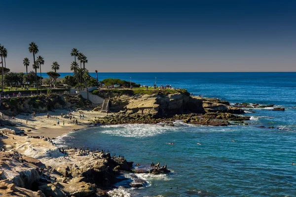 La Jolla Koyu