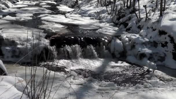 Corriente en invierno — Vídeos de Stock