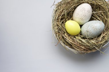 Sepetteki Paskalya yumurtaları