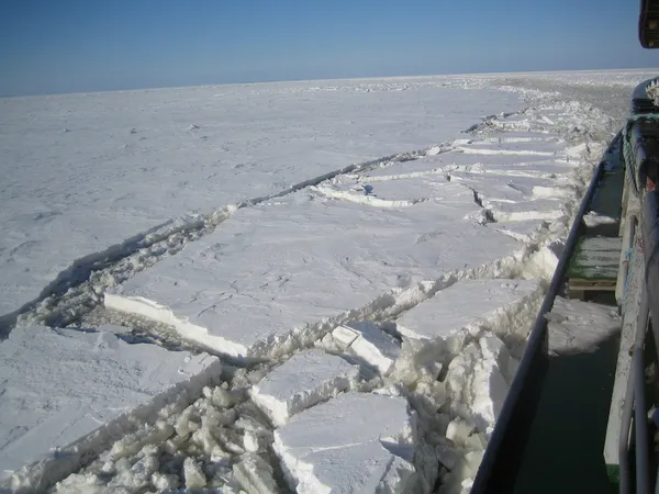 Glace de mer brisée — Photo