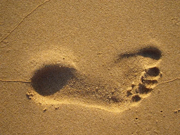 Pegada na areia Imagem De Stock