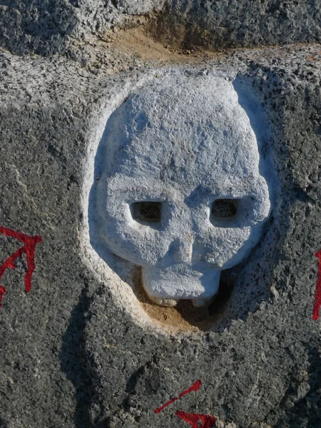 Witte schedel op een rots — Stockfoto
