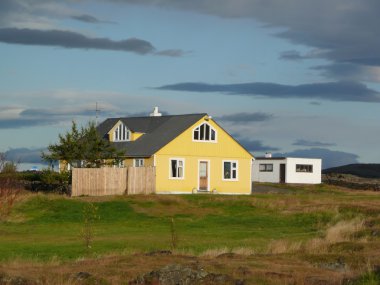 Sarı İzlandalı evi