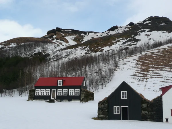 Islandský farma v zimě — Stock fotografie