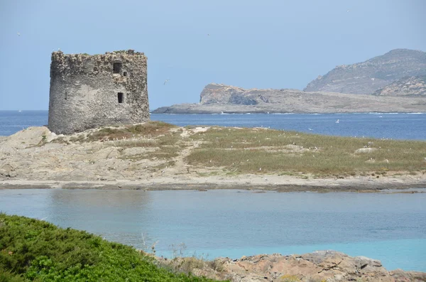 Que torre costera en stintino — Foto de Stock