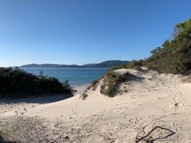 Alghero 'daki kum tepeleri, sardunya, İtalya
