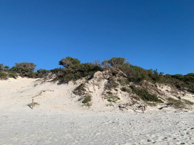 Alghero 'daki kum tepeleri, sardunya, İtalya