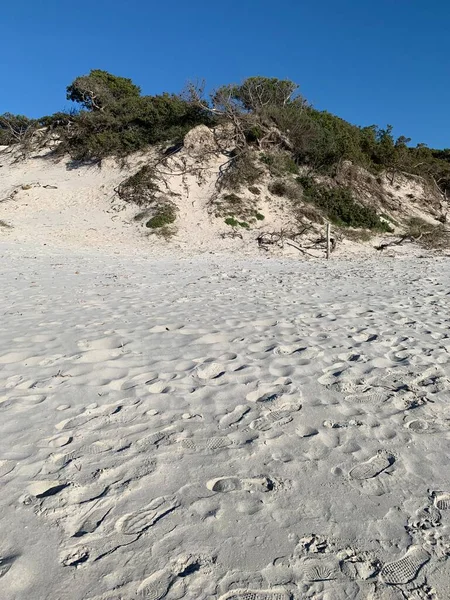 Sanddyner Alghero Sardinia Italien — Stockfoto