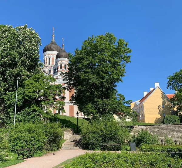 Городской Парк Собор Таллинне Эстония — стоковое фото