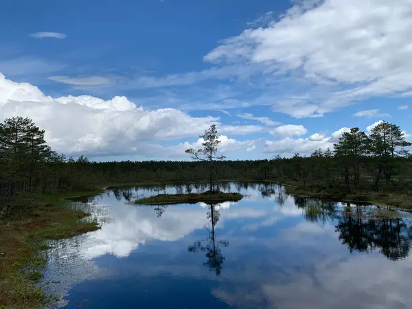 Lahemaa National Park Estonia — Stock Photo, Image