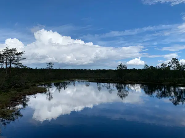 Lahemaa National Park Estonia — Stock Photo, Image