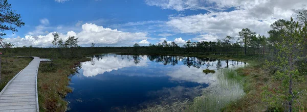 Lahemaa National Park Estonia — ストック写真