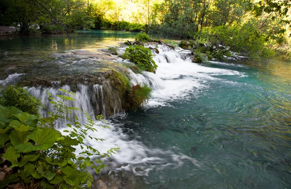 Beautiful natural waterfall — Stock Photo, Image