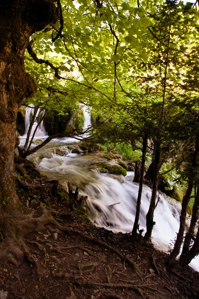 Bella cascata naturale — Foto Stock