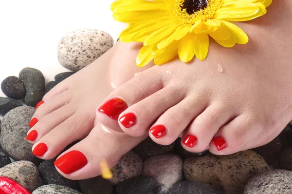 ayak spa kapatın veya makro ile çiçekler