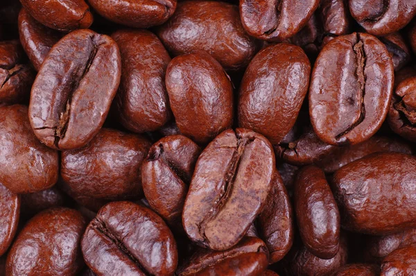 Kahve çekirdekleri yakın çekim / makro