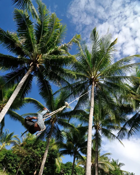 bajau çocuğun salıncak