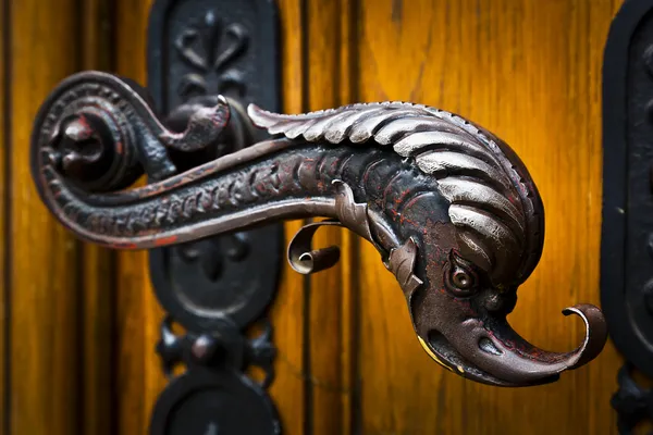 Decorative antique door handles with fish pattern on a big chatedral — Stock Photo, Image