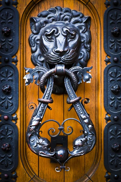 Dekorativní Lví hlava klepadlo na dřevěné dveře — Stock fotografie