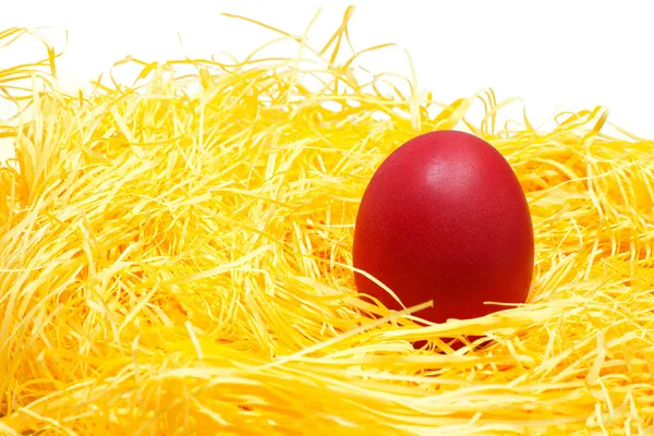 Easter — Stock Photo, Image