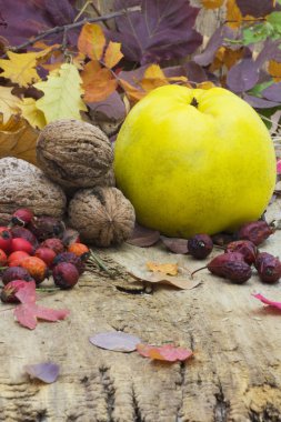 Olgunlaşmış meyve