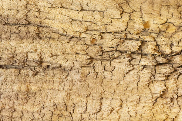 Trästruktur — Stockfoto