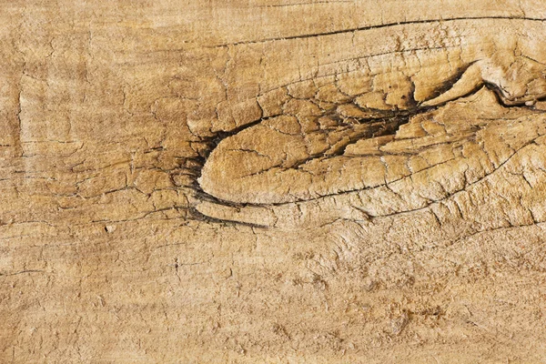 Wooden texture — Stock Photo, Image