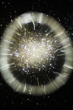 Parlak bulanık halkalar üzerinde sıvı bulunan soyut arkaplan, kapat.