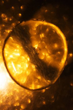 Parlak bulanık halkalar üzerinde sıvı bulunan soyut arkaplan, kapat.