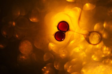 Bulanık dairelerin arka planında kırmızı bir damla, kapat.