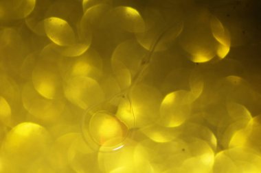 Parlak bulanık halkalar üzerinde sıvı bulunan soyut arkaplan, kapat.