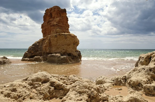 Costa y playa — Foto de Stock