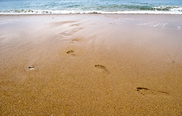 Footprint on the beach — Stock Photo, Image